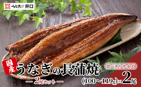 うなぎ 食べきりサイズ 長蒲焼2尾セット 鰻 ウナギ うなぎ