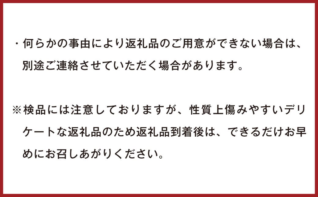 訳ありみかん 約10kg