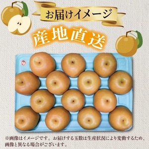 齋藤園　梨「あきづき」約5kg（7～14玉入）2026年9月中旬～ ｜ 梨