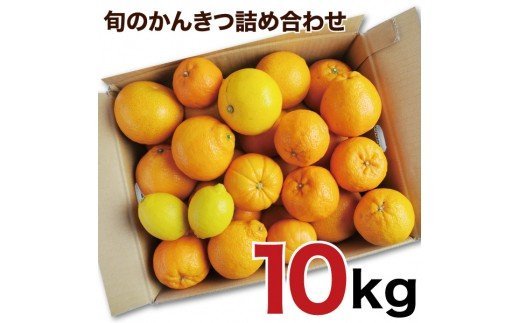 145.訳アリ 旬のかんきつ詰め合わせ 10kg(A145-3)