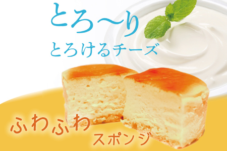 H-28-1 はんなまチーズ15個