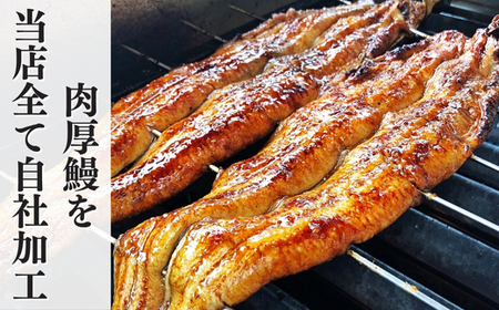 【三河一色産】ひつまぶし 鰻 3袋セット タレ・出汁付き うなぎ 岬だより