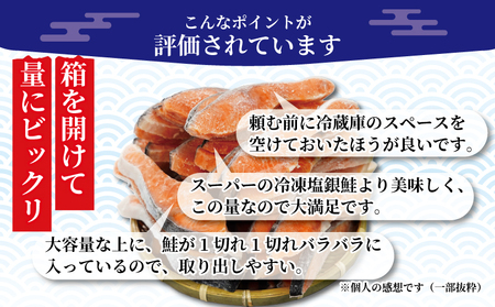 訳あり 鮭 サケ 2.0kg 冷凍 銀鮭 海鮮 魚 規格外 不揃い 切り身 訳あり 大人気鮭 訳あり サーモン 人気鮭 サーモン 訳あり 鮭切身 サーモン 訳あり 鮭切り身 大容量鮭 訳あり鮭 訳あり