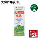 【ふるさと納税】【定期便】【5ヶ月毎2回】大阿蘇牛乳 1L 紙パック 6本 計12本（6本×2回） 牛乳 ミルク 成分無調整牛乳 乳飲料 乳性飲料 熊本県産 国産 九州 熊本県 菊池市 送料無料