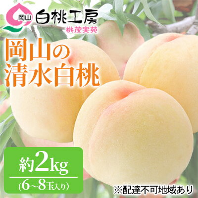 【ふるさと納税】桃 2027年 先行予約 清水 白桃 2kg 6～8玉 もも モモ 岡山 国産 フルーツ 果物 ギフト 桃茂実苑 果肉 　お届け：2027年7月中旬～2027年8月上旬