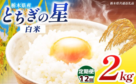 【栃木県共通返礼品】【先行予約】【令和8年度産】【定期12回】訳あり 栃木県産 とちぎの星 2kg | ふるさと 納税 コシヒカリ お米 精米 白米 okome kome コメ 米 ご飯 ごはん 飯 栃木県 那珂川町 送料無料