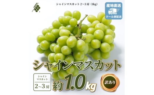 シャインマスカット 2～3房 計1kg 訳あり ご家庭用【1729248】