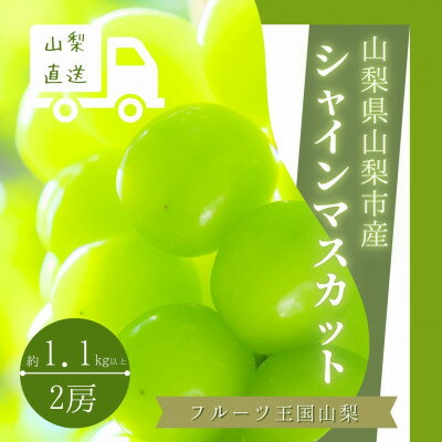 【ふるさと納税】【2026年発送】冬に食べる貴重なシャインマスカット2房約1.1kg以上【配送不可地域：離島】【1374931】
