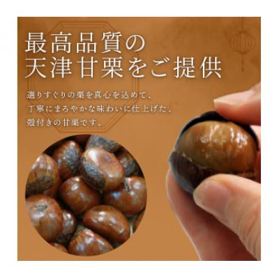 ふるさと納税 八幡市 新栗 天津甘栗 容量 1kg 京都 完熟 殻付き栗 |  | 01