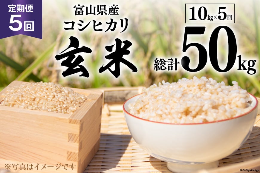 
5回 定期便 米 コシヒカリ 玄米 10kg ×5回 総計 50kg [アグリ金山 富山県 朝日町 34310434] お米 美味しい こしひかり ご飯 ごはん 富山県産 数量限定 農家 直送
