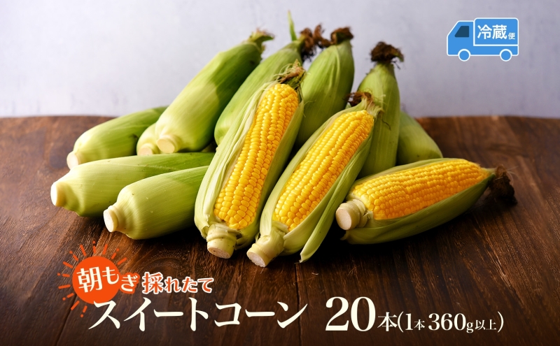 とうもろこし 20本 スイートコーン トウモロコシ コーン 甘い 採れたて 朝採り 野菜 旬の野菜 農作物 お取り寄せ 北海道産 産地直送 北海道 美深町 お届け：2026年8月3日～2026年8月2