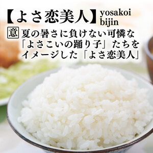 【令和8年産】 新米 定期便 5kg×4回 よさ恋美人 新米 AS007