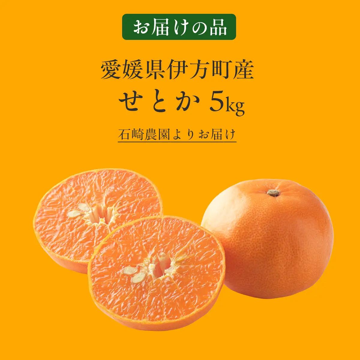 【先行予約】せとか5kg ※離島への配送不可 （2027年2月10日より順次発送予定） IKTAG004