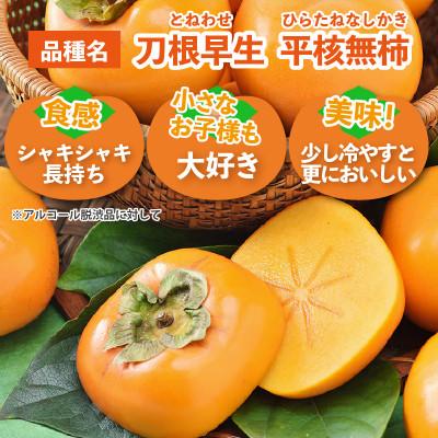 ふるさと納税 あわら市 厳選!種なし!スッキリ甘みの越前柿 18個入 |  | 02