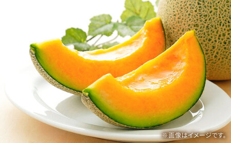 タカミメロン レッド 3箱 / メロン めろん フルーツ 果物 / 南島原市 / 南島原果物屋[SCV033]