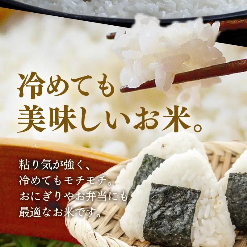 【先行予約】【令和8年産】定期便 ≪3ヶ月連続お届け≫ 特別栽培米 コシヒカリ 精米 10kg×3回（計30kg）※2026年10月上旬より順次発送 [aw121-f002]