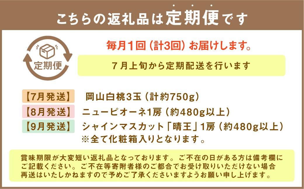 【 全3回定期便 】 岡山県産 フルーツ定期便 ＜ お一人様向け ＞