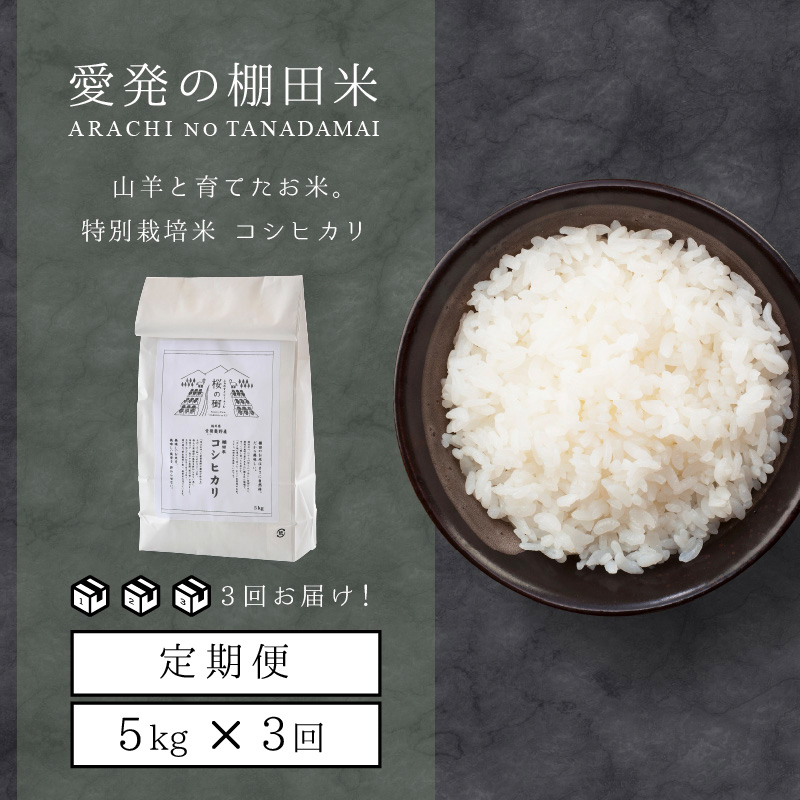 新米 定期便≪3ヶ月連続お届け≫ 福井県こだわり米登録！令和6年産 棚田の特別栽培米コシヒカリ 5kg × 3回（計15kg）【お米 ご飯 お取り寄せ ブランド こしひかり】 [003-t3-a001]【敦賀市ふるさと納税】