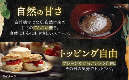 【素朴ながらも奥深い味わい】 プレーンスコーン 12個入り[CEM009]