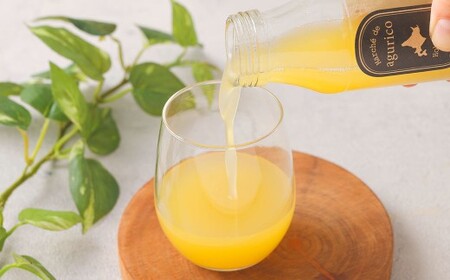 agurico 浦臼町産 メロン 180ml×24本 計4.32L メロンジュース ジュース キングメルティー フルーツ 果物 北海道 浦臼町