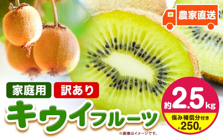 先行予約 ご家庭用 キウイ フルーツ 約2.5kg ＋250g (傷み補償分) 池田鹿蔵農園@日高町（池田農園株式会社）《11月中旬～2027年4月下旬出荷》【配送不可地域あり】和歌山県 日高町 わけ