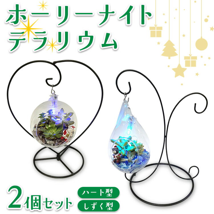 【ふるさと納税】ホーリーナイトテラリウム2個セット（ハート型、しずく型）｜多肉植物 テラリウム クリスマス ギフト 贈答用 贈り物 プレゼント ※2025年12月中旬～12月下旬頃に順次発送予定