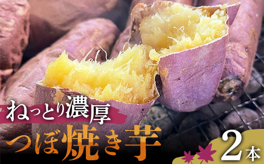 爆甘！甘みと風味が凝縮 ねっとり濃厚つぼ焼き芋 2本 やきいも おやつ デザート スイーツ 福島県 白河市 F25R-160