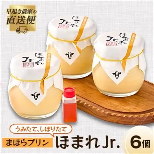 うみたて、しぼりたてまほらプリン ほまれJr【配送不可地域：離島】【1033448】
