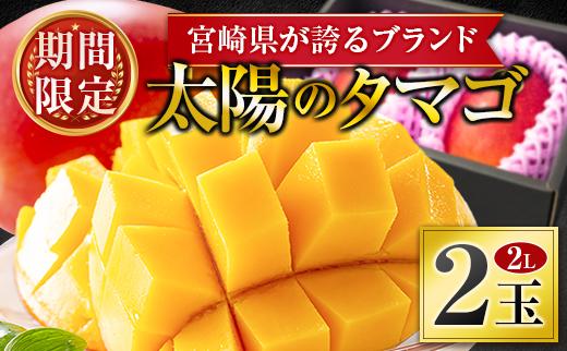 『太陽のタマゴ』 宮崎 完熟マンゴー 2L×2玉（1玉350～459g） 宮崎県産 トロピカル フルーツ 贈答 お取り寄せ 果物 旬