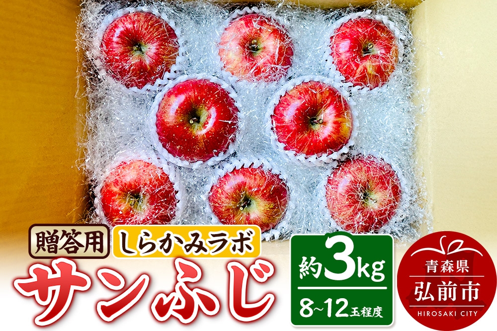 
                  【寄附金額見直しました】りんご サンふじ 贈答用 約3kg しらかみラボ
                