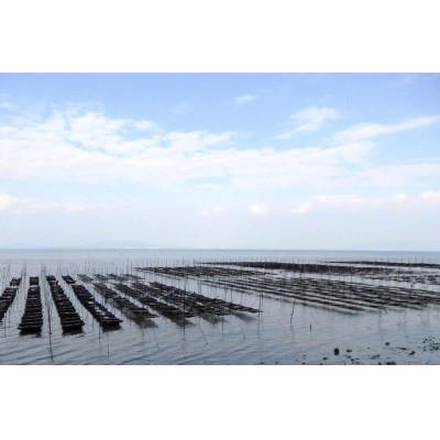 ふるさと納税 島原市 有明海産 味付のり 『たべたいな〜 朝ごはん』(8切5枚)×20束　DF124　 |  | 02