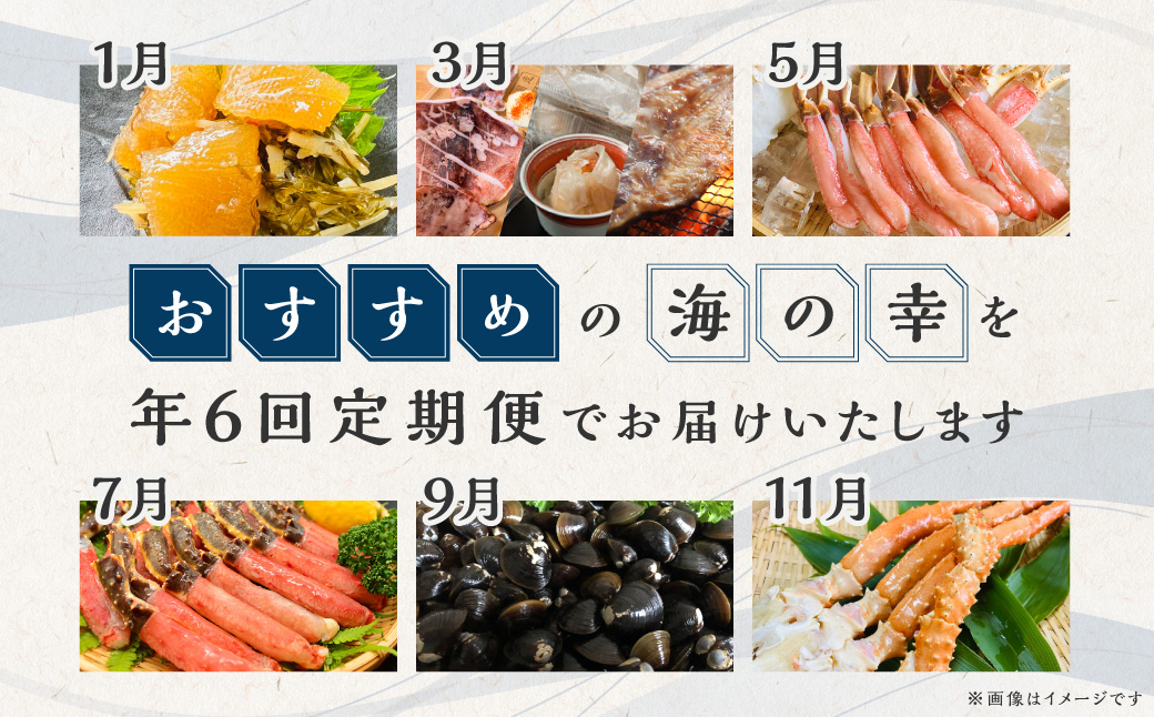 【定期便】オホーツク海鮮グルメ定期便 6回 ほたて 帆立 ズワイ タラバ 蟹 カニ イカ ほっけ シジミ しじみ 松前漬け 北海道 網走 ※着日指定不可 ※離島への配送不可  ABAO068