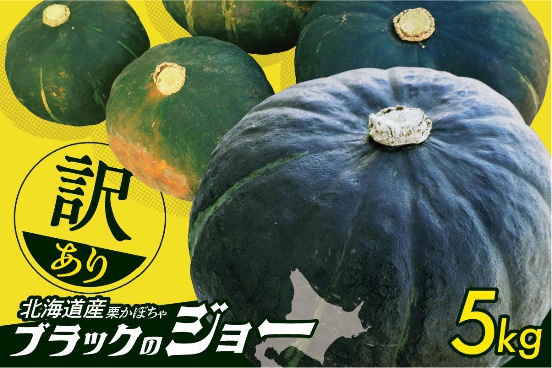 先行受付！12月頃～発送開始！北海道十勝清水町産 生産者応援！【訳あり】ホクホク！栗かぼちゃ！ブラックのジョー 5kg 北海道産 かぼちゃ カボチャ 冬至 _S021-0031