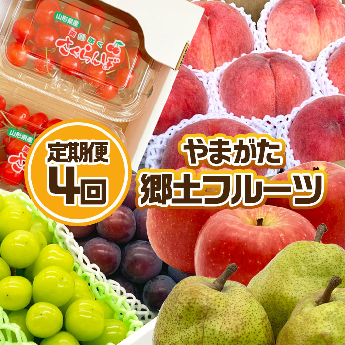 【定期便4回】やまがた 郷土フルーツ定期便 佐藤錦・やわらかめ白桃・シャインマスカットとピオーネ・りんごとラ・フランス FZ23-929