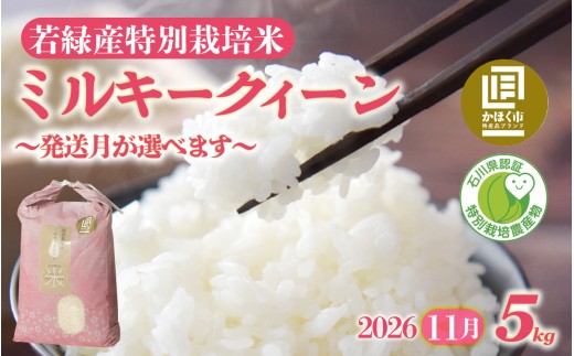 【先行予約】【発送月が選べる】若緑産 特別栽培米「ミルキークィーン」【2026年11月発送】