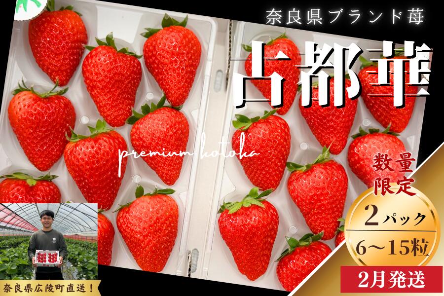 【ふるさと納税】数量限定 先行予約 古都華 270g×2パック 2026年2月発送 // いちご イチゴ 古都華 フルーツ 果物 旬 いちご ことか イチゴ 先行予約 古都華 数量限定 古都華 甘い 先行受付 奈良いちご農園COTO