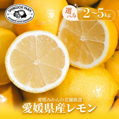 【ふるさと納税】【皮まで食べられる】愛媛育ちのレモン 2kg/3kg/5kg　防腐剤・ワックス不使用_ レモン れもん 檸檬 愛媛県 国産 防腐剤不使用 ワックス不使用 果物 くだもの フルーツ かんきつ 柑橘 柑橘類 産直 産地直送 えひめ 八幡浜市 【G1624050】