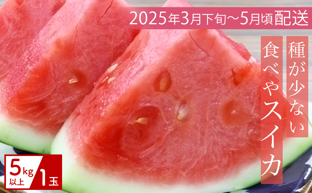 【（有）今帰仁すいか】種が少ない食べやスイカ【2025年3月下旬～5月頃発送】