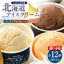 【ふるさと納税】★4.71 高評価★ 北海道アイスクリーム 110ml 12個 ( 選べる : バニラ チョコレート / バニラ / メロン ) / とよとみ牛乳 アイス あいす アイスクリーム カップアイス 詰め合わせ デザート カップデザート クリスマス 贈り物 ギフト 北海道 豊富町