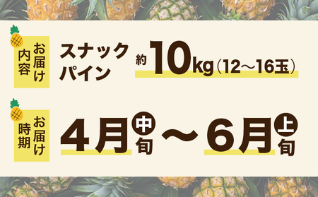2024年 先行予約 スナックパイン 約10kg 12～16玉 西表島ひらい農園 パイナップル 果物 フルーツ パイン