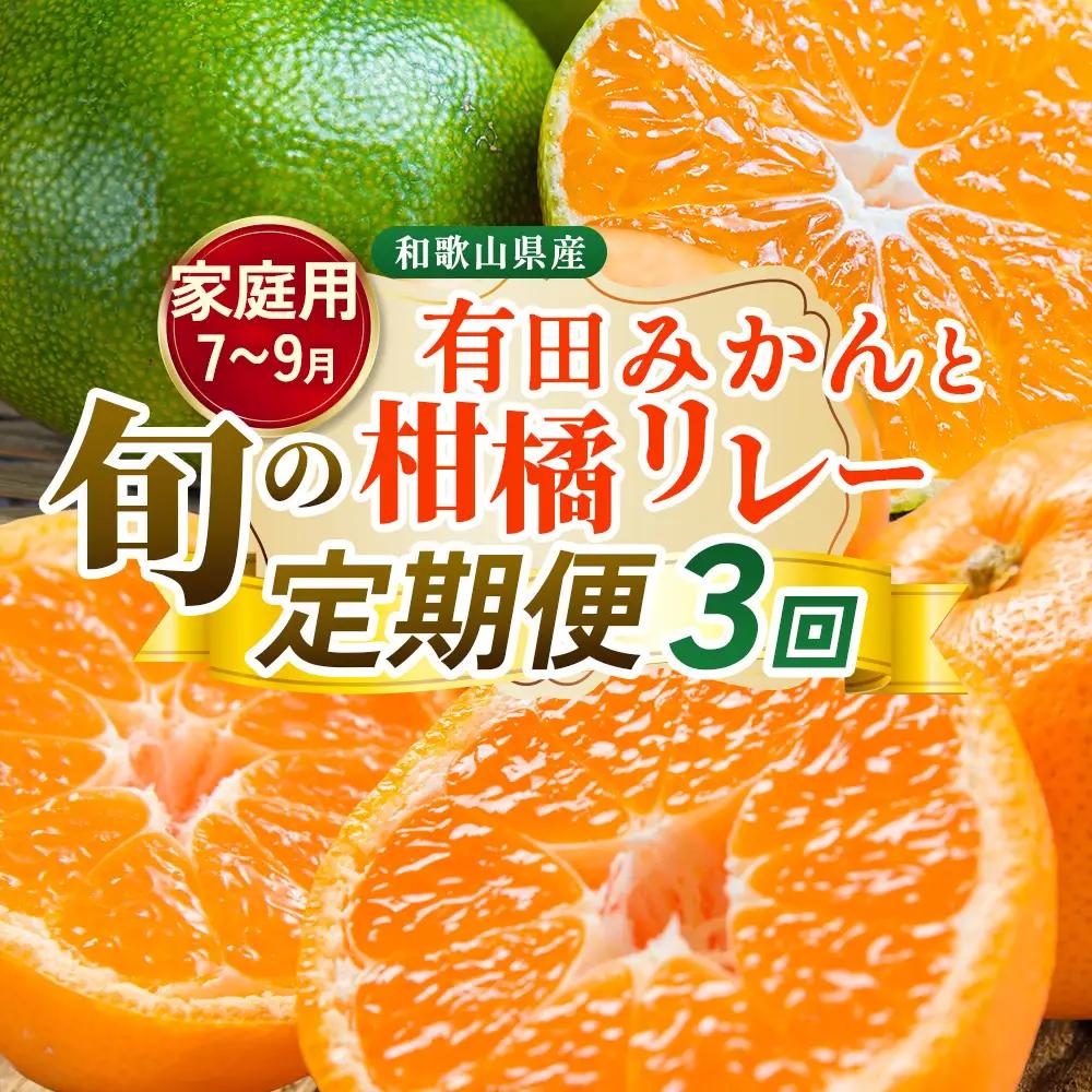 【定期便】家庭用 柑橘定期便 S 3回（7～9月）※北海道・沖縄・離島への配送不可※7月・8月・9月に発送