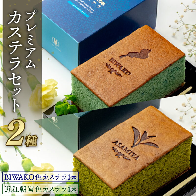 【ふるさと納税】 カステラ 2種セット 琵琶湖 近江朝宮茶 プレミアム セット 2種 BIWAKO 抹茶 朝宮茶 朝宮抹茶 スイーツ デザート 菓子 お菓子 おやつ 個包装 ご当地 こだわり お土産 レモンピール レモン お茶 ギフト プレゼント 贈答 贈答用 贈答品 ご褒美 高級 滋賀 彦根