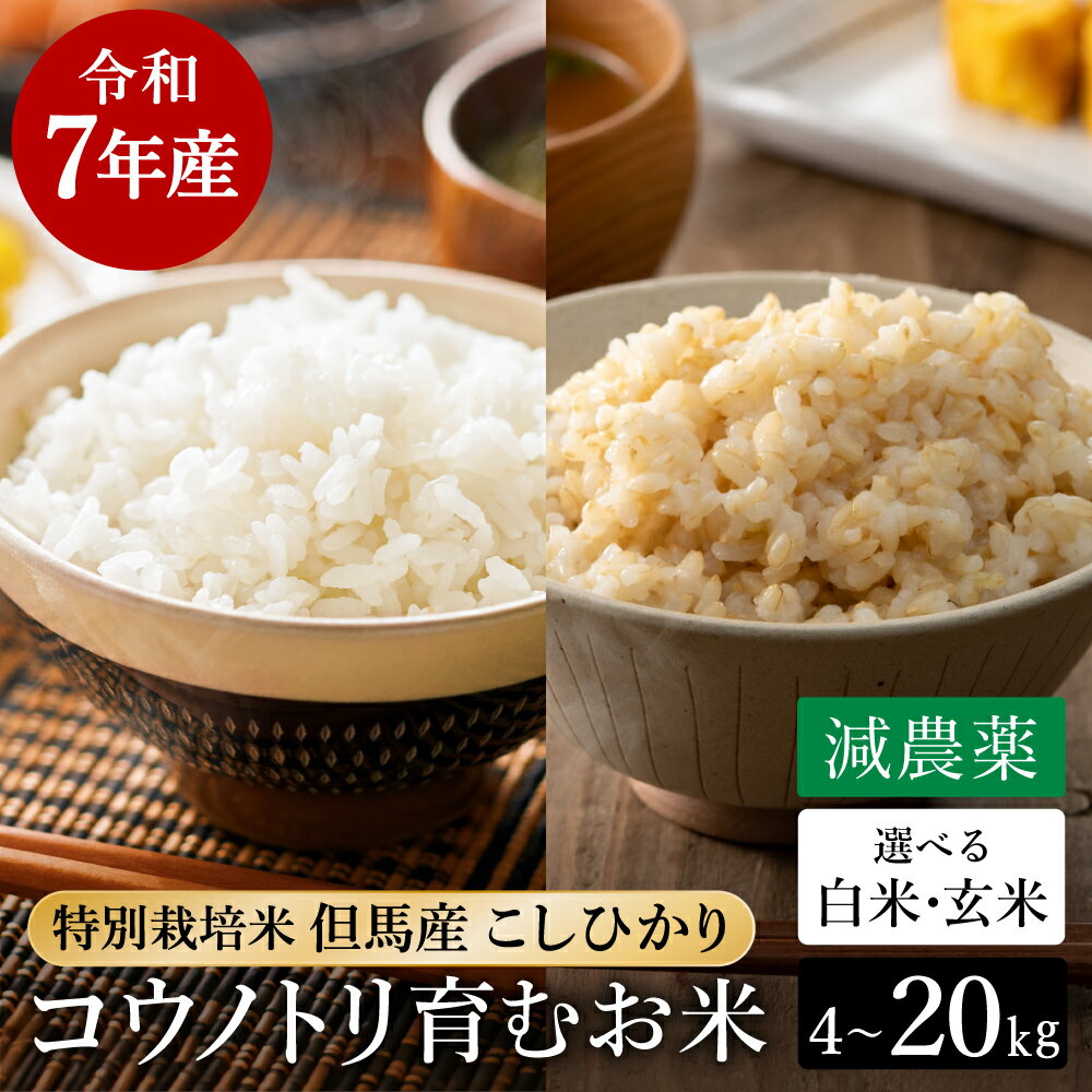 【ふるさと納税】令和7年産 減農薬 米 特別栽培米 コウノトリ育むお米 但馬産 こしひかり 兵庫県産　白米 or 玄米 4kg | 5kg | 8kg | 10kg | 15kg | 20kg | 精米 白米 コウノトリ米 コシヒカリ コメ こめ ご飯 ライス 減農薬米