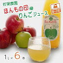 【ふるさと納税】若葉農園 ほんもの印のりんごジュース 1L×6本　【飲料類・果汁飲料・りんご・ジュース】