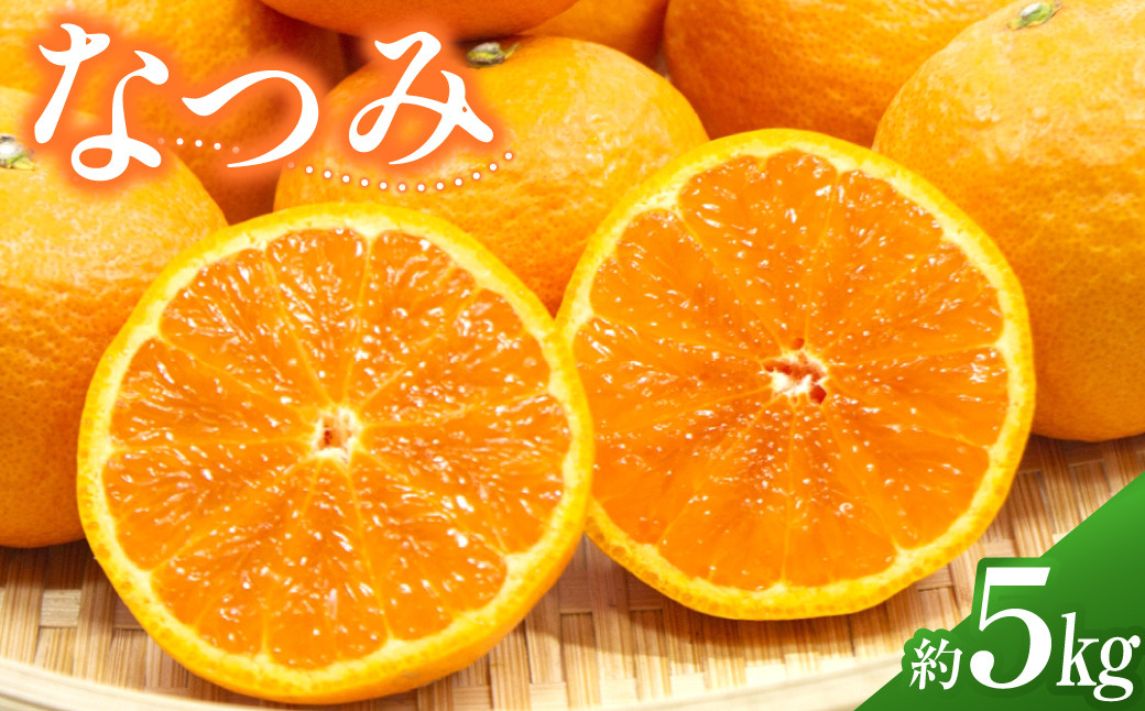 希少品種 なつみ 約5kg【数量限定】 みかん ミカン 蜜柑 果物 フルーツ 南津海 甘み 濃厚【2026年4月上旬〜5月下旬発送予定】