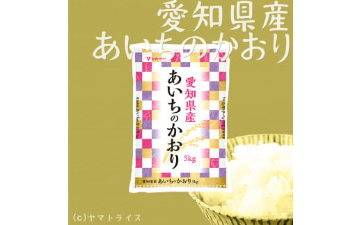 【精米】12回定期便 愛知県産あいちのかおり 100kg（5kg×20袋）　安心安全なヤマトライス 米 白米 国産 大容量 5キロ　H074-560