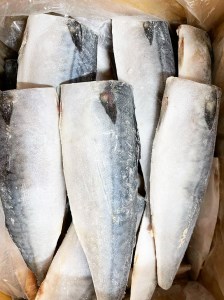 【ご家庭用】大容量！塩さばフィレ 3.5kg/さば サバ 鯖 フィレ 切り身 切身 魚 海鮮 焼き魚 おかず 国産【uot749-2】