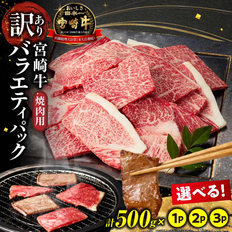 【A257】A4等級以上 宮崎牛 訳あり 焼肉 バラエティパック おためし500g（牛肉 肉 お肉 黒毛和牛 宮崎牛 ブランド牛 内閣総理大臣賞4大会連続受賞）