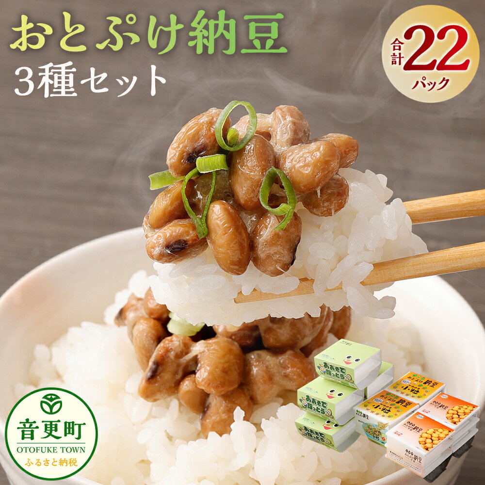 【ふるさと納税】おとぷけ納豆 3種セット（3種 22パック） 【B72】 3種類 計9個 合計22パック なっとう 納豆 大粒 中粒 小粒 豆 大豆 北海道 音更町 送料無料
