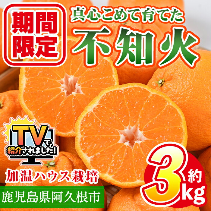 【ふるさと納税】＜先行予約受付中！2026年12月上旬以降順次発送予定＞ ＼テレビで紹介されました！／数量限定！鹿児島県産加温ハウス栽培の不知火「大将季」(計約3kg) 旬 フルーツ 果物 柑橘 みかん【三笠農業生産】akn051-07